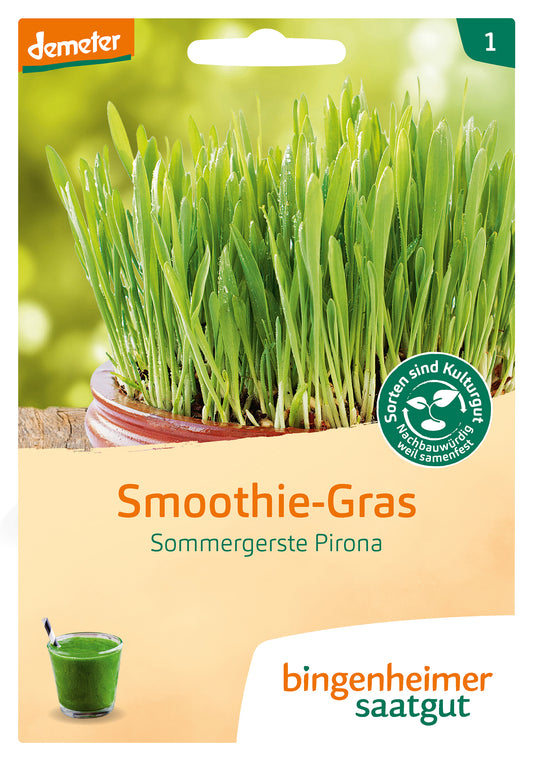 Smoothie-Gras | BIO Getreide von Bingenheimer Saatgut
