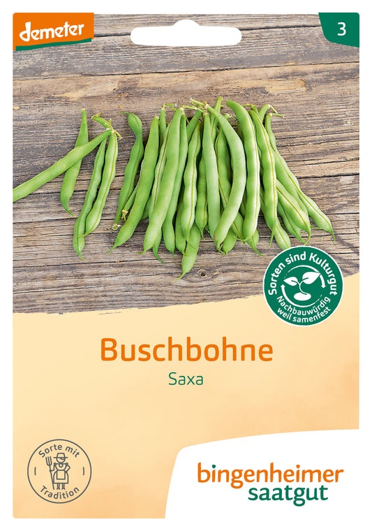 Buschbohne Saxa | BIO Buschbohnensamen von Bingenheimer Saatgut