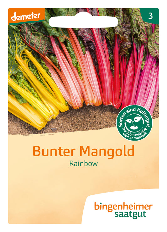 Mangold Rainbow | BIO Mangoldsamen von Bingenheimer Saatgut