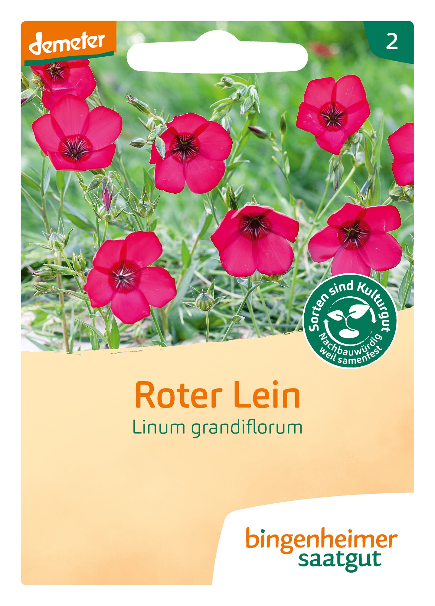 Roter Lein | BIO Blumensamen von Bingenheimer Saatgut