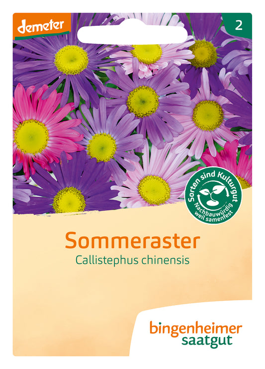Sommeraster | BIO Asternsamen von Bingenheimer Saatgut