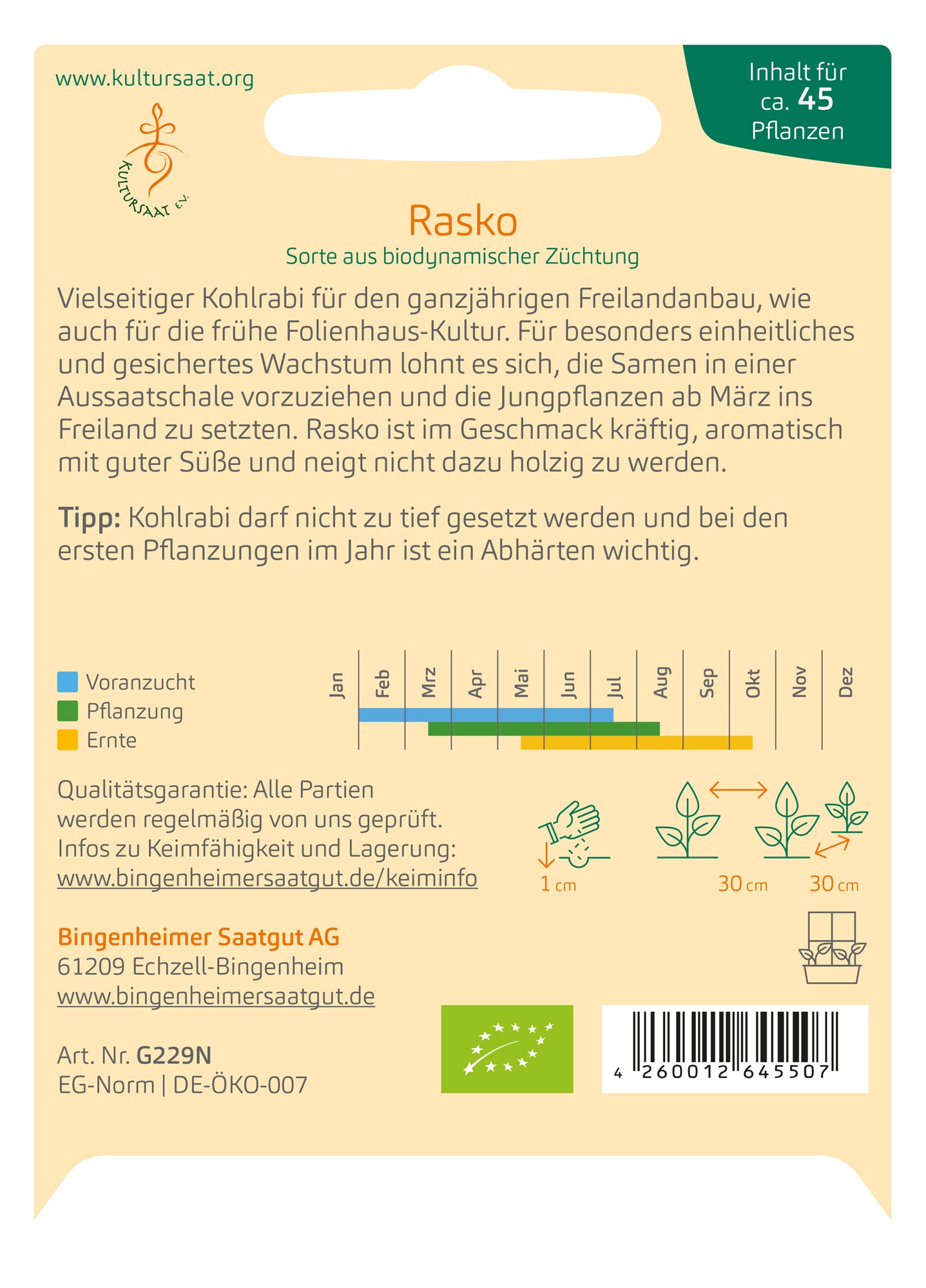 Kohlrabi Rasko | BIO Kohlrabisamen von Bingenheimer Saatgut