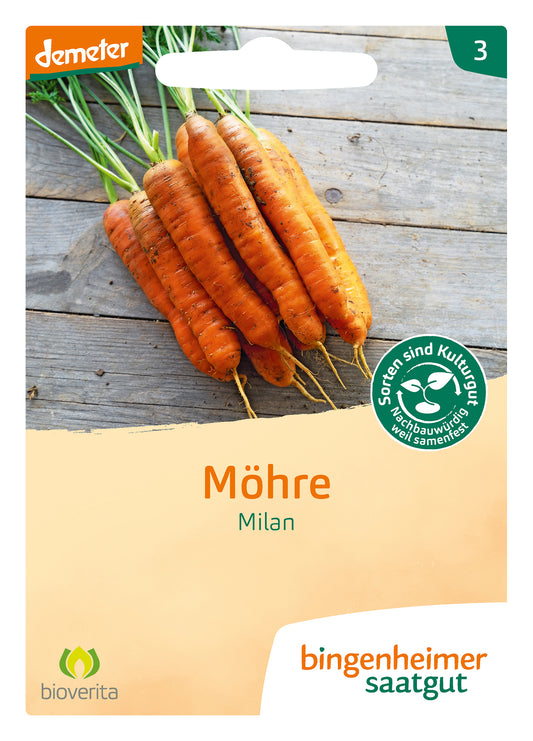 Möhre Milan | BIO Möhrensamen von Bingenheimer Saatgut