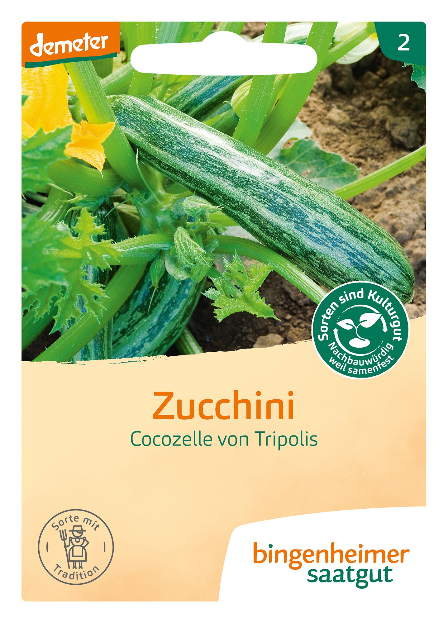 Zucchini Cocozelle von Tripolis | BIO Zucchinisamen von Bingenheimer Saatgut