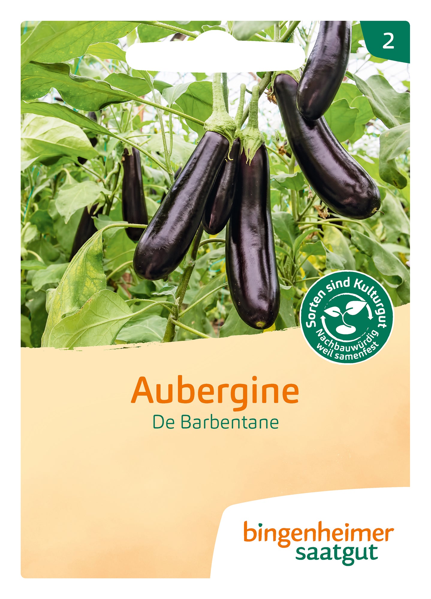 Aubergine De Barbentane | BIO Auberginensamen von Bingenheimer Saatgut