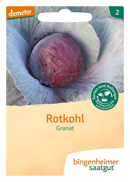Rotkohl Granat | BIO Rotkohlsamen von Bingenheimer Saatgut