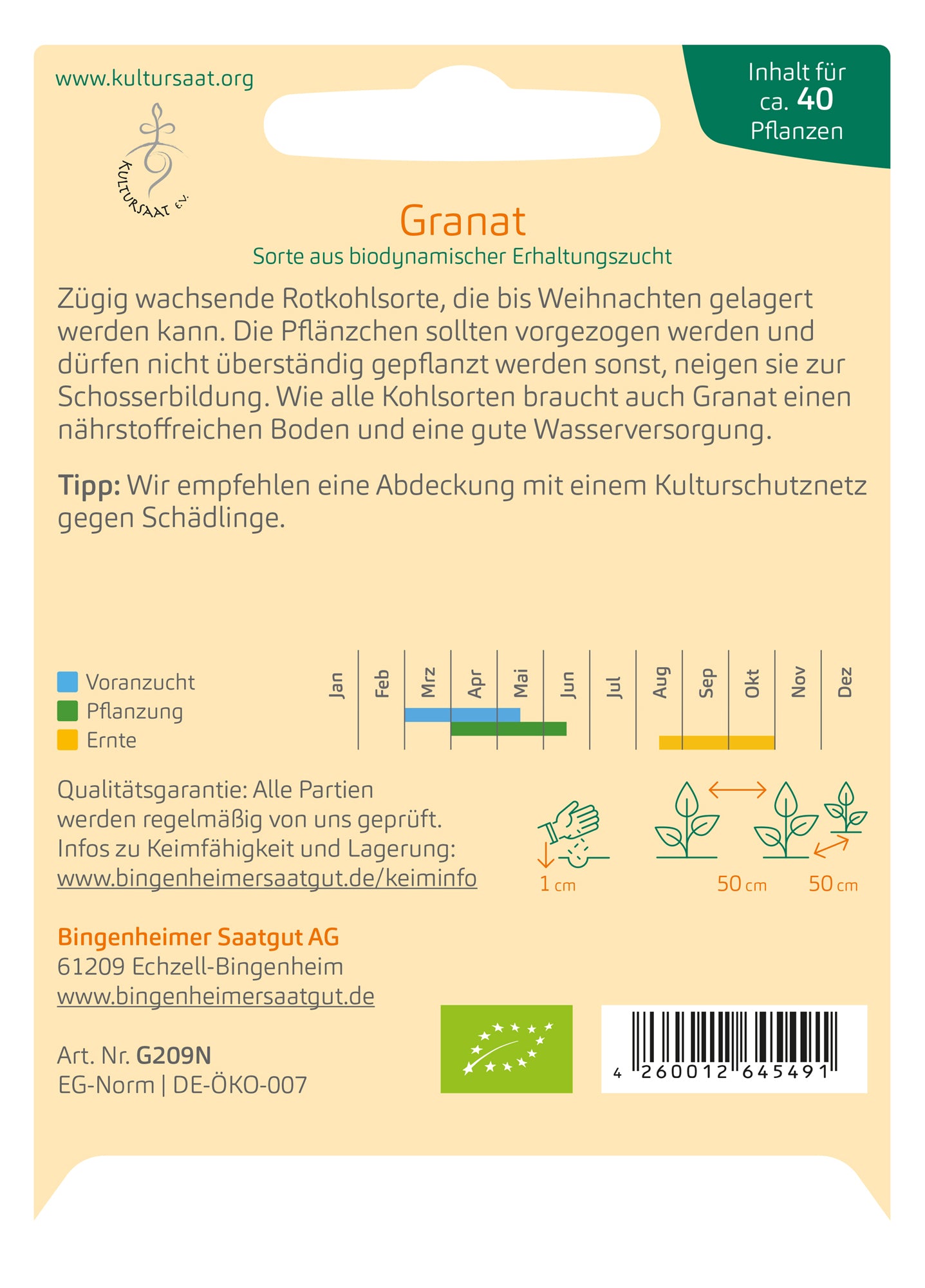 Rotkohl Granat | BIO Rotkohlsamen von Bingenheimer Saatgut