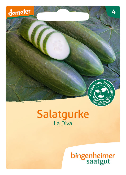 Salatgurke La Diva | BIO Salatgurkensamen von Bingenheimer Saatgut