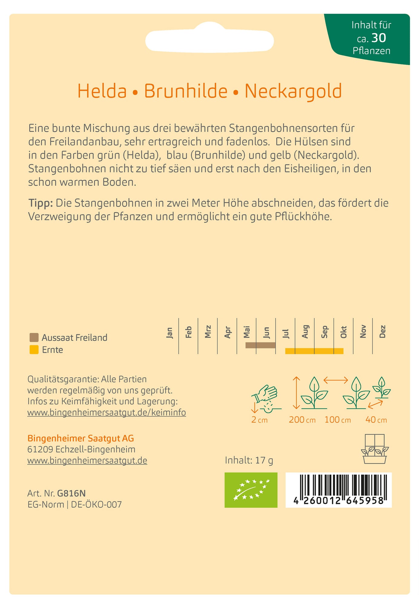 Stangenbohne Stangenbohnen-Mix | BIO Stangenbohnensamen von Bingenheimer Saatgut