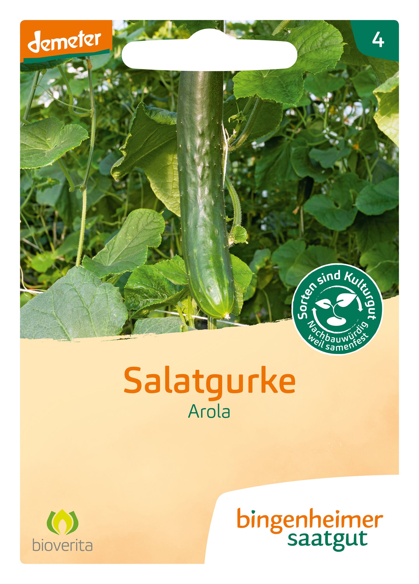 Salatgurke Arola | BIO Salatgurkensamen von Bingenheimer Saatgut