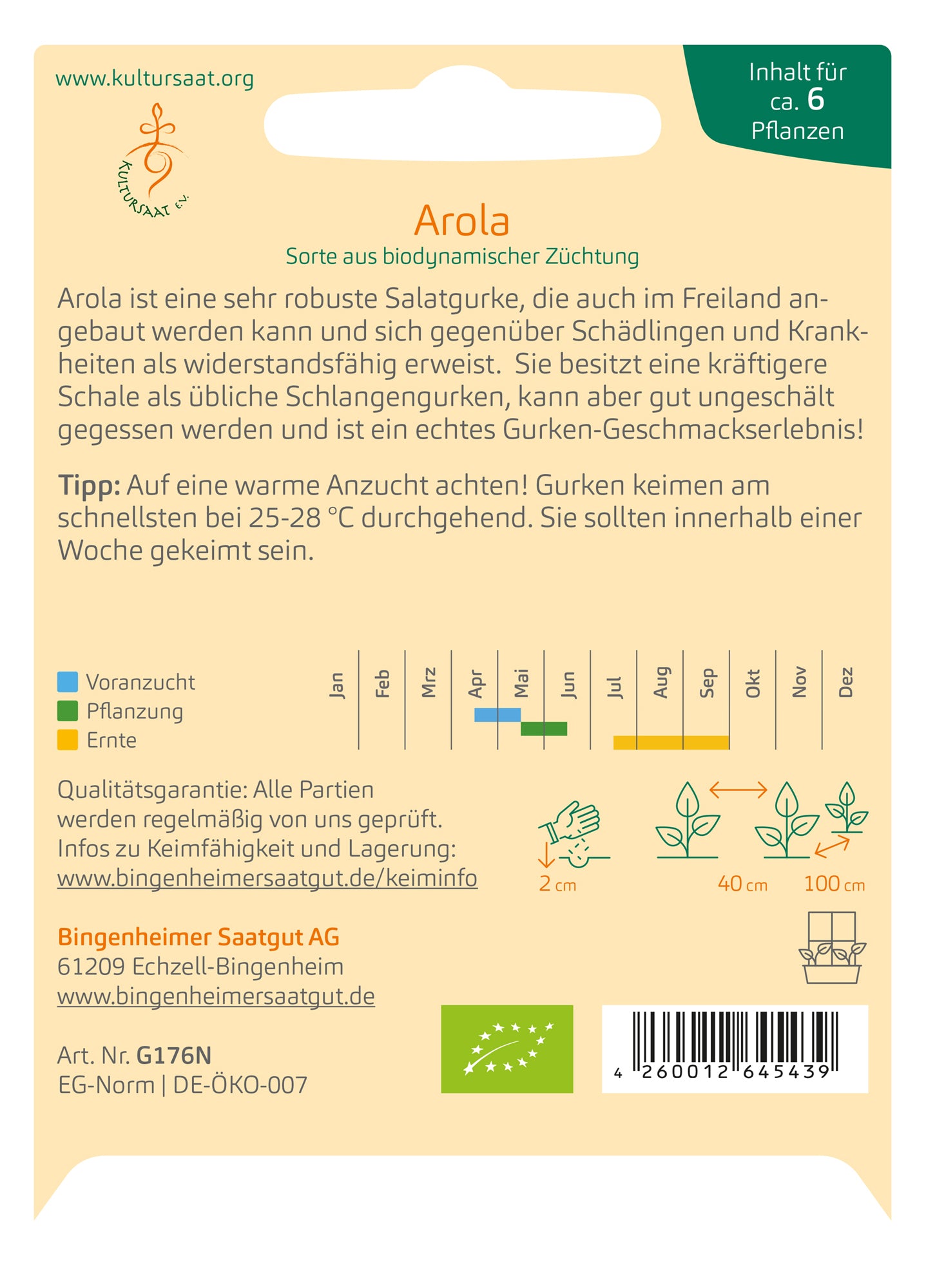 Salatgurke Arola | BIO Salatgurkensamen von Bingenheimer Saatgut