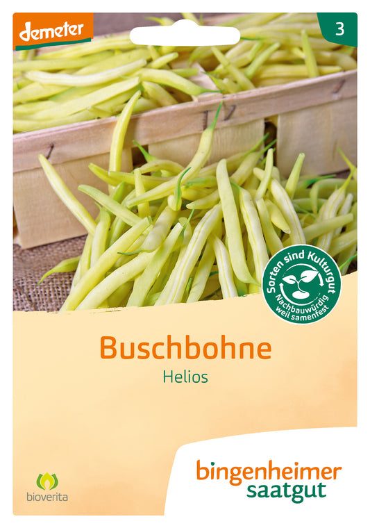 Buschbohne Helios | BIO Buschbohnensamen von Bingenheimer Saatgut