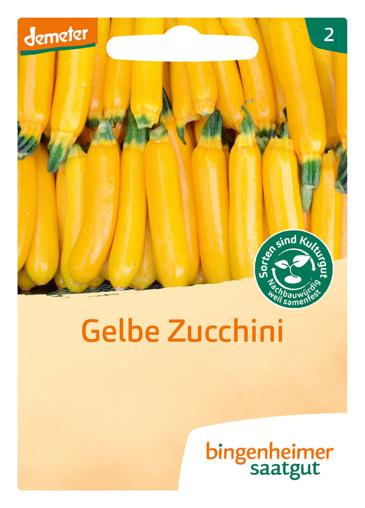 Zucchini Solara | BIO Zucchinisamen von Bingenheimer Saatgut