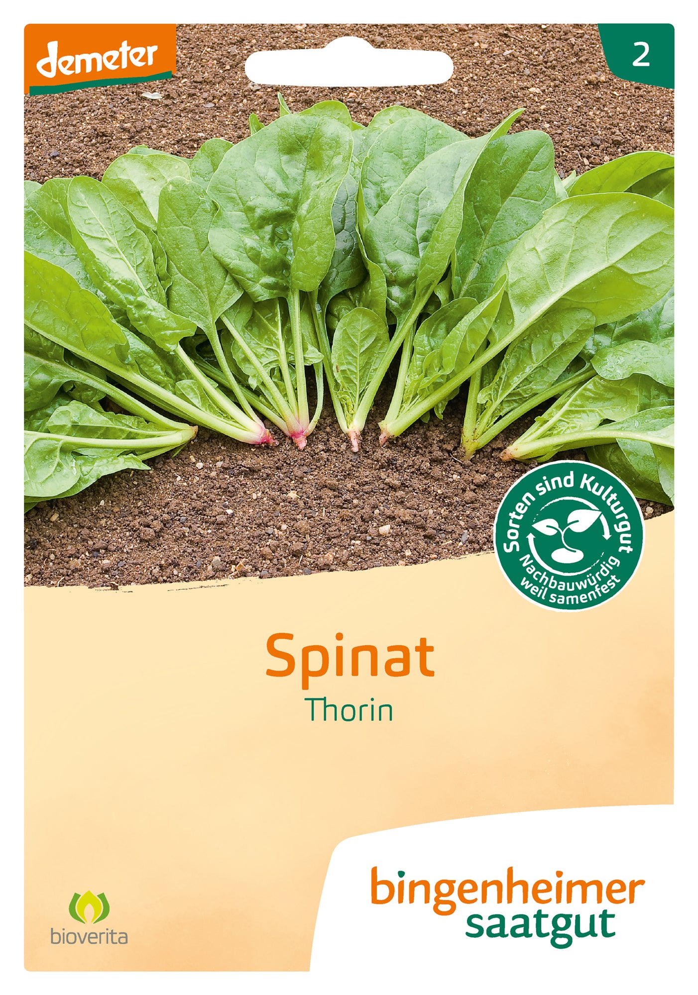 Spinat Thorin | BIO Spinatsamen von Bingenheimer Saatgut
