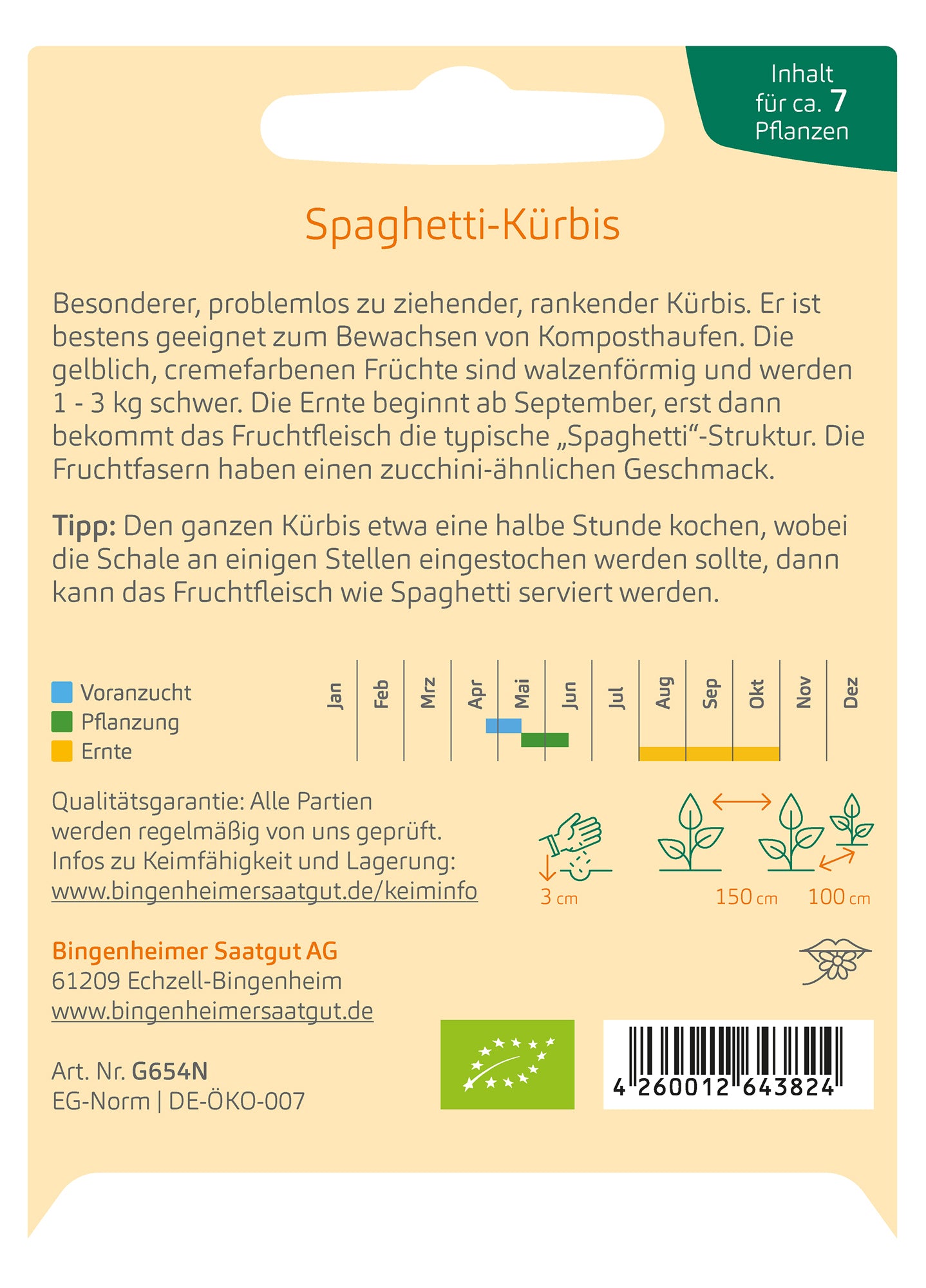 Kürbis Spaghetti-Kürbis | BIO Kürbissamen von Bingenheimer Saatgut