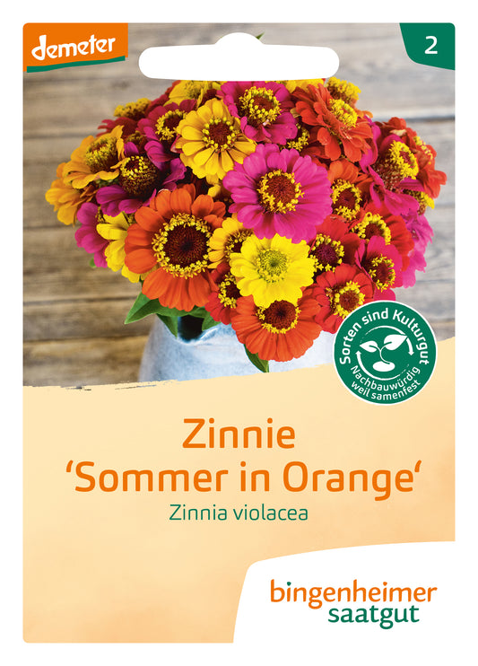 Zinnie `Sommer in Orange` | BIO Zinniensamen von Bingenheimer Saatgut