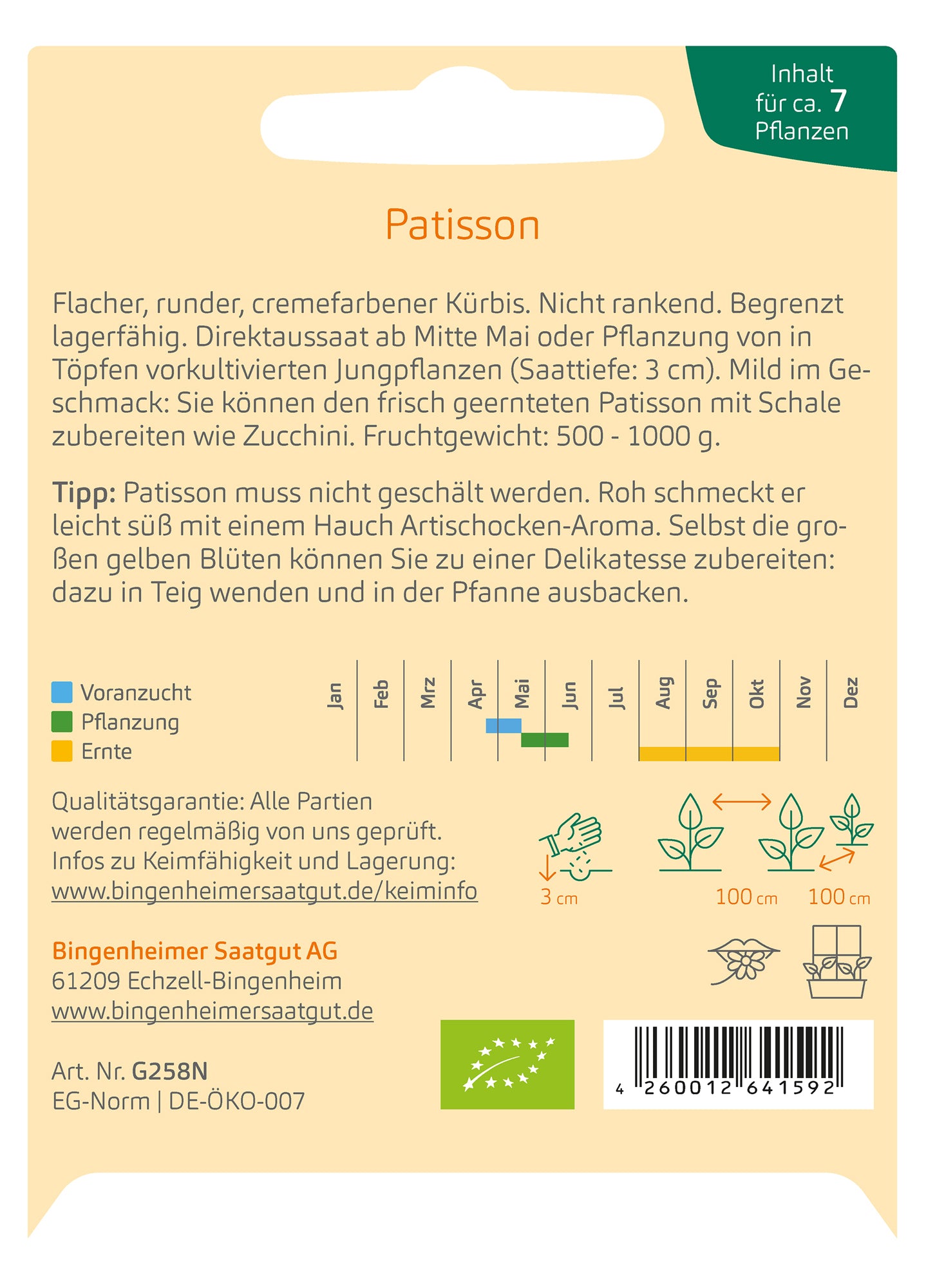 Kürbis Patisson - Custard White | BIO Kürbissamen von Bingenheimer Saatgut