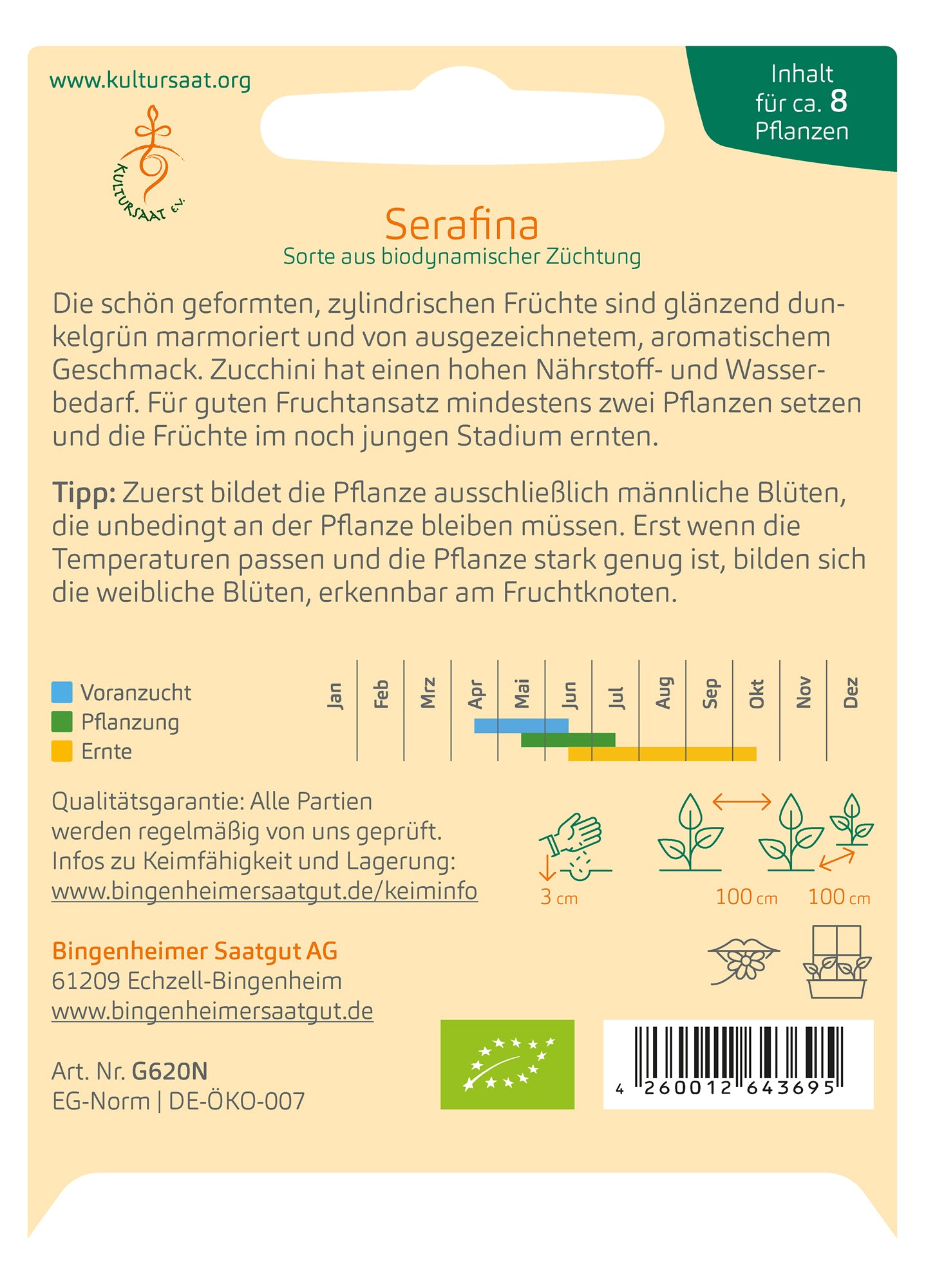 Zucchini Serafina | BIO Zucchinisamen von Bingenheimer Saatgut