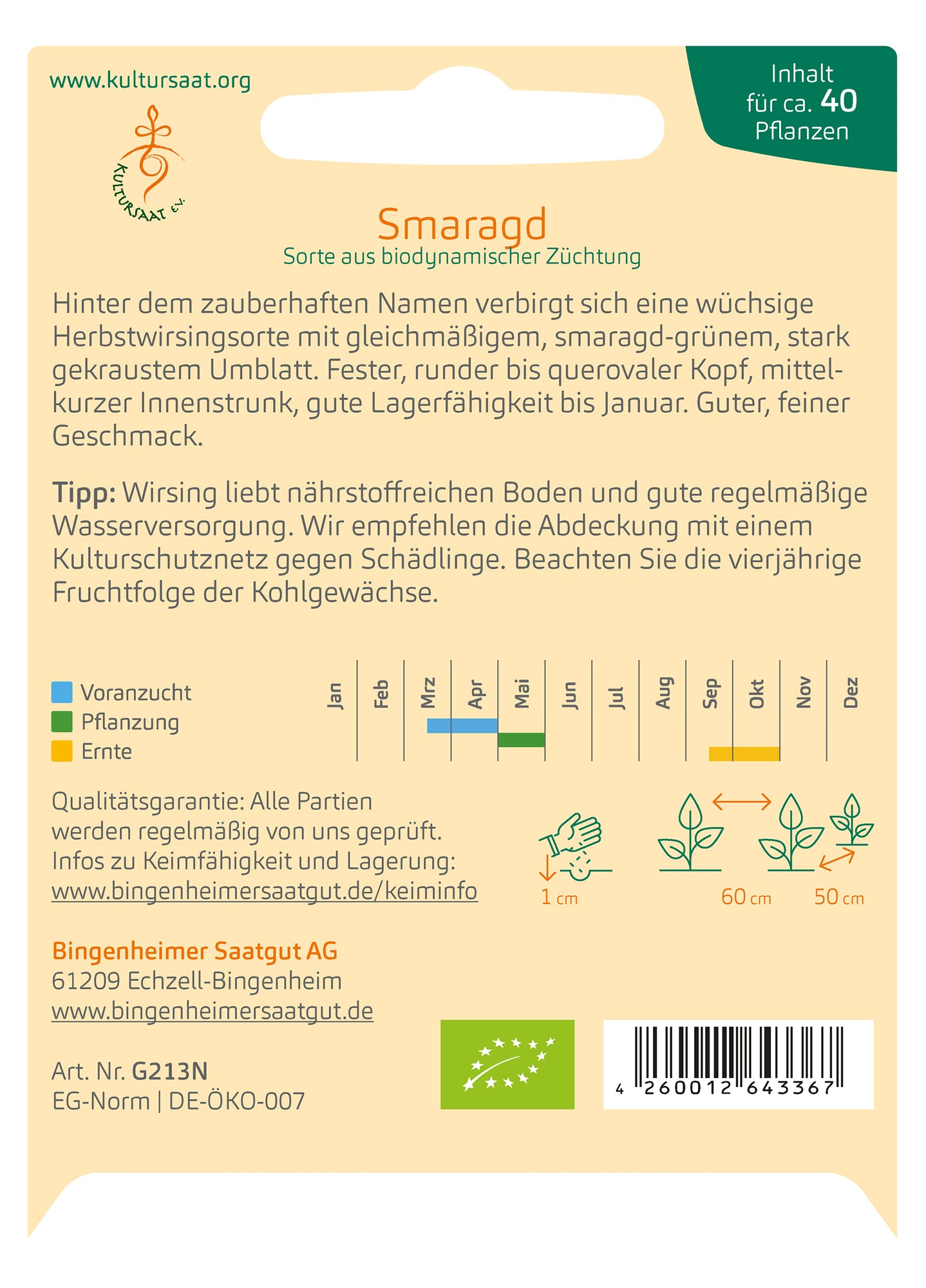 Wirsingkohl Smaragd | BIO Wirsingsamen von Bingenheimer Saatgut