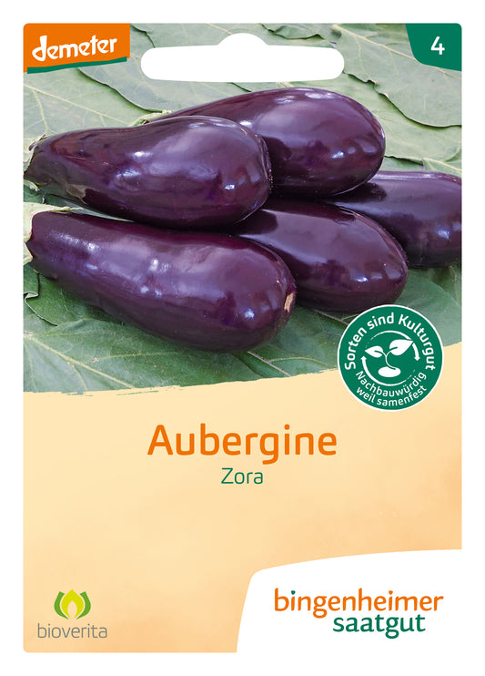 Aubergine Zora | BIO Auberginensamen von Bingenheimer Saatgut