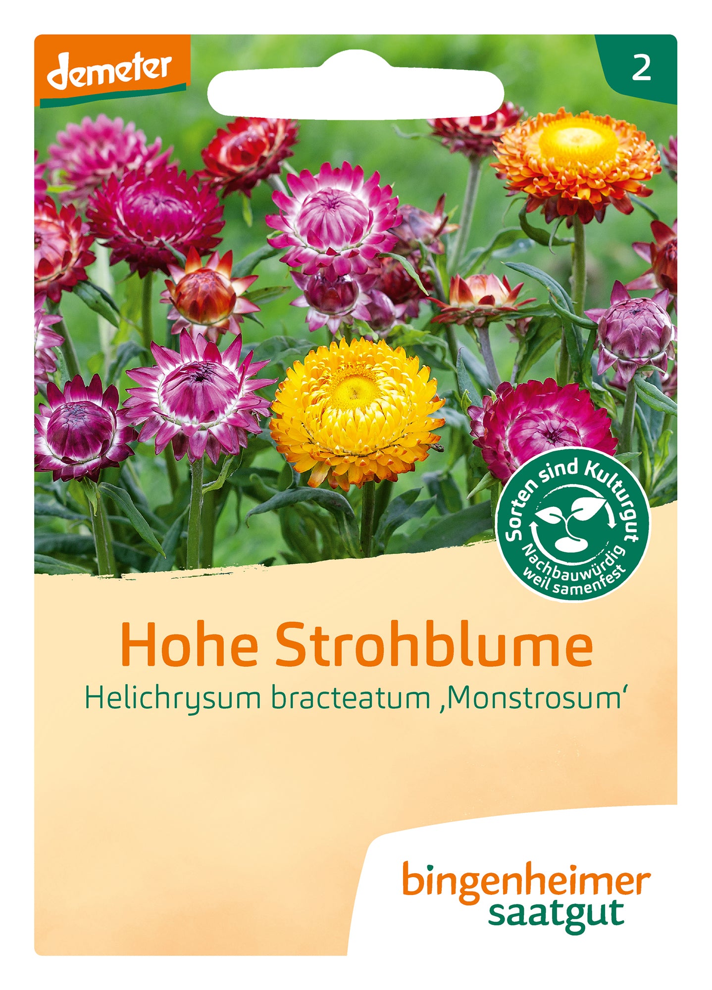Hohe Strohblume | BIO Strohblumensamen von Bingenheimer Saatgut