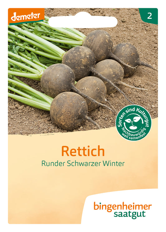 Rettich R. Schw. Winter | BIO Rettichsamen von Bingenheimer Saatgut