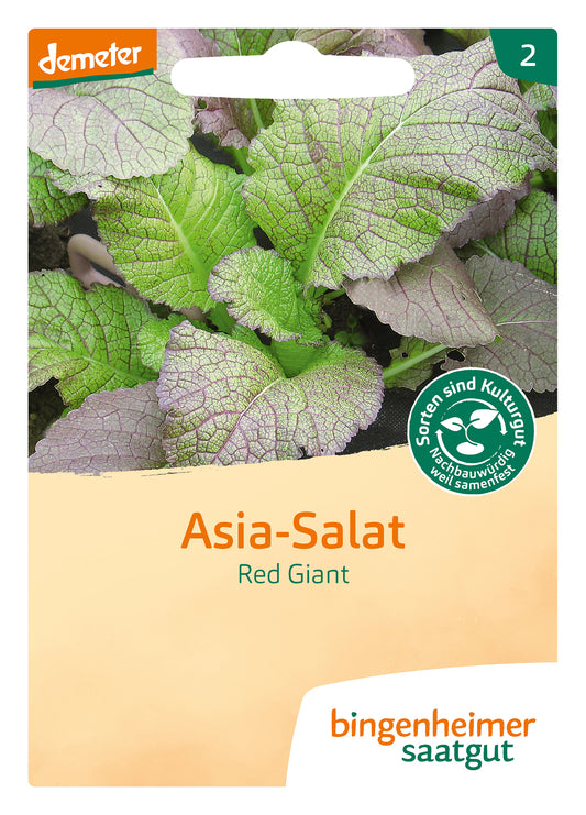 Asia Salat Red Giant | BIO Asiasalatsamen von Bingenheimer Saatgut