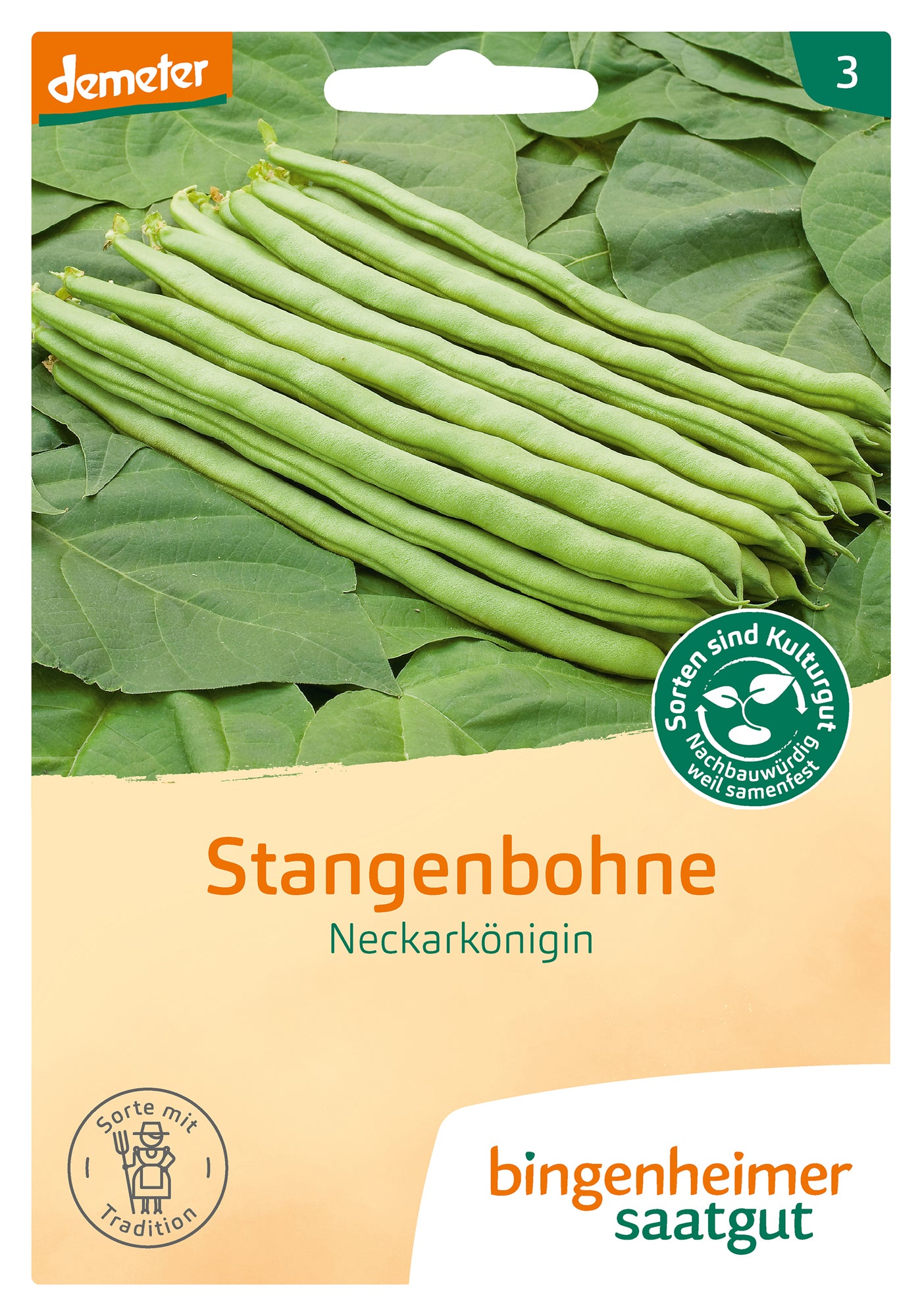 Stangenbohne Neckarkönigin | BIO Stangenbohnensamen von Bingenheimer Saatgut
