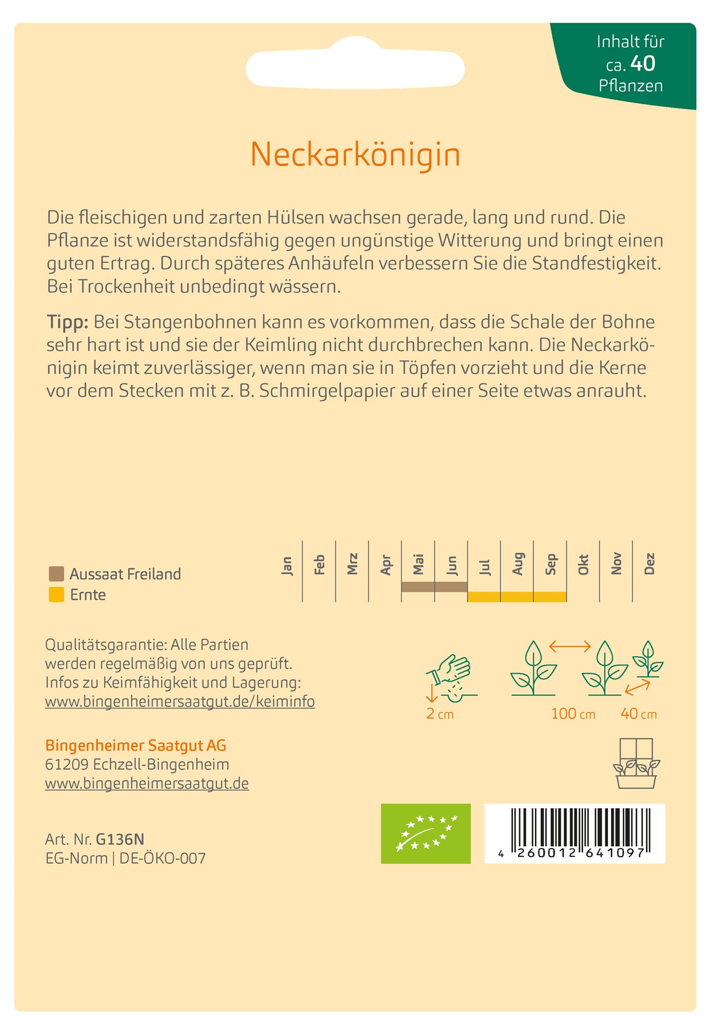 Stangenbohne Neckarkönigin | BIO Stangenbohnensamen von Bingenheimer Saatgut