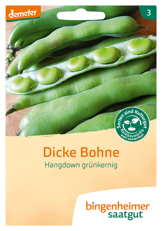 Dicke Bohne Hangdown | BIO Bohnensamen von Bingenheimer Saatgut