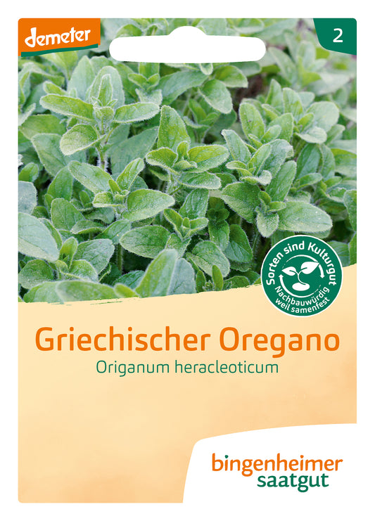 griechischer Oregano | BIO Oreganosamen von Bingenheimer Saatgut