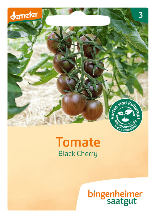 Tomate Black Cherry | BIO Tomatensamen von Bingenheimer Saatgut